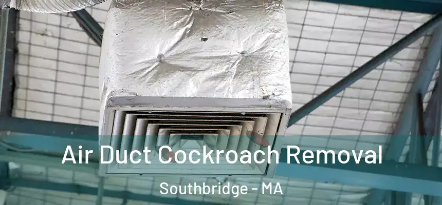  Air Duct Cockroach Removal Southbridge - MA