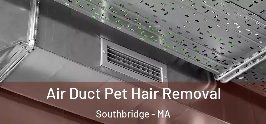  Air Duct Pet Hair Removal Southbridge - MA