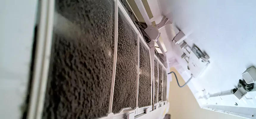 Preventive Air Duct Bacteria Removal in Southbridge