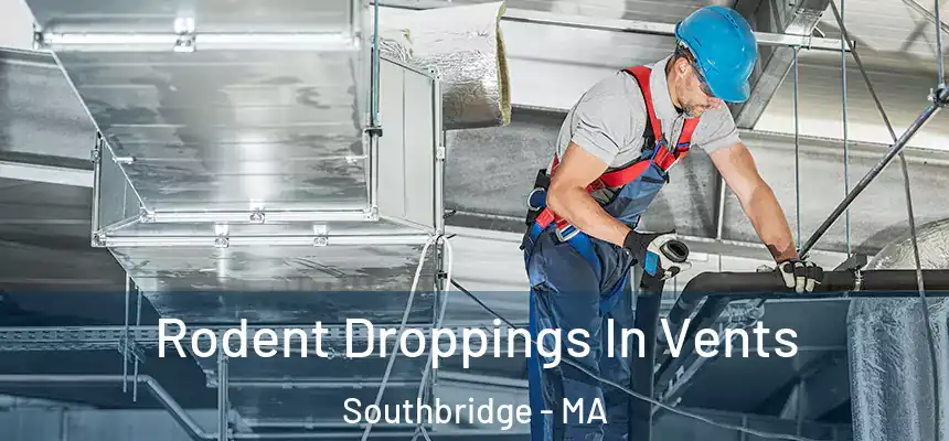  Rodent Droppings In Vents Southbridge - MA