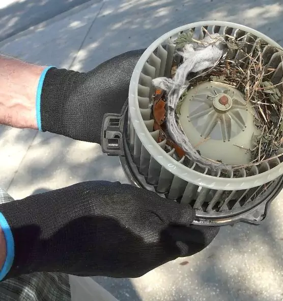 About Air Duct Mice Removal in Southbridge, MA