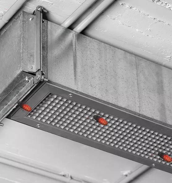 Affordable Insect Removal from Air Ducts in Southbridge, MA