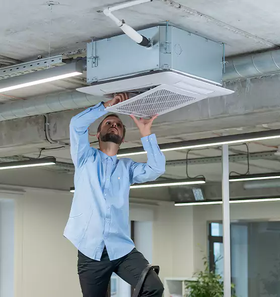 Advanced Rodent Droppings In Vents in Southbridge, MA