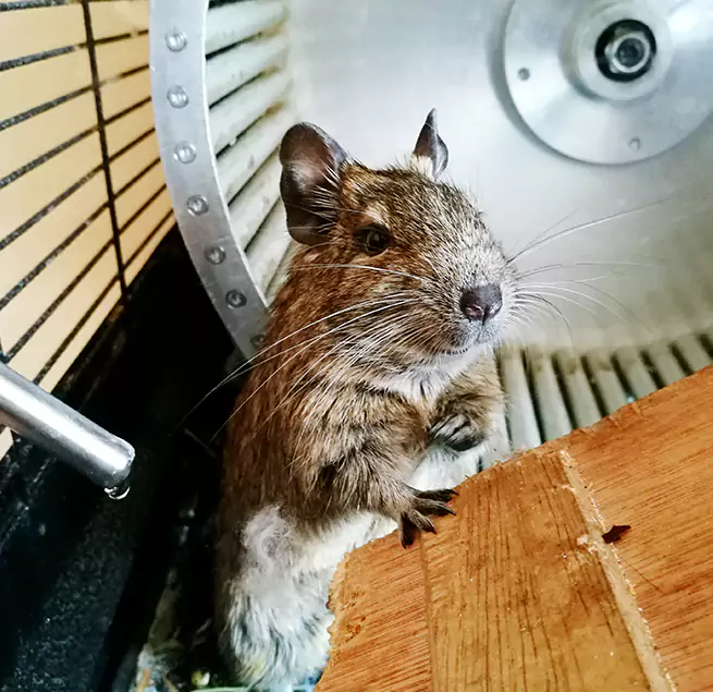 Why Homeowners & Businesses Trust Us Southbridge, MA?